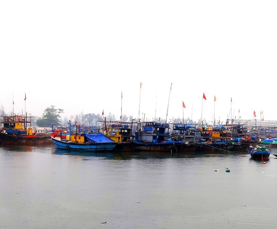 Hướng dẫn kỹ thuật neo đậu, sắp xếp tàu thuyền tại nơi tránh trú đảm bảo an toàn cho người và tàu cá