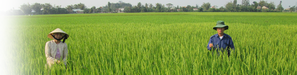 Kế hoạch tổ chức thực hiện Phong trào thi đua “Cả nước chung sức xây dựng nông thôn mới” giai đoạn 2021 - 2025 trong ngành Nông nghiệp và Phát triển nông thôn