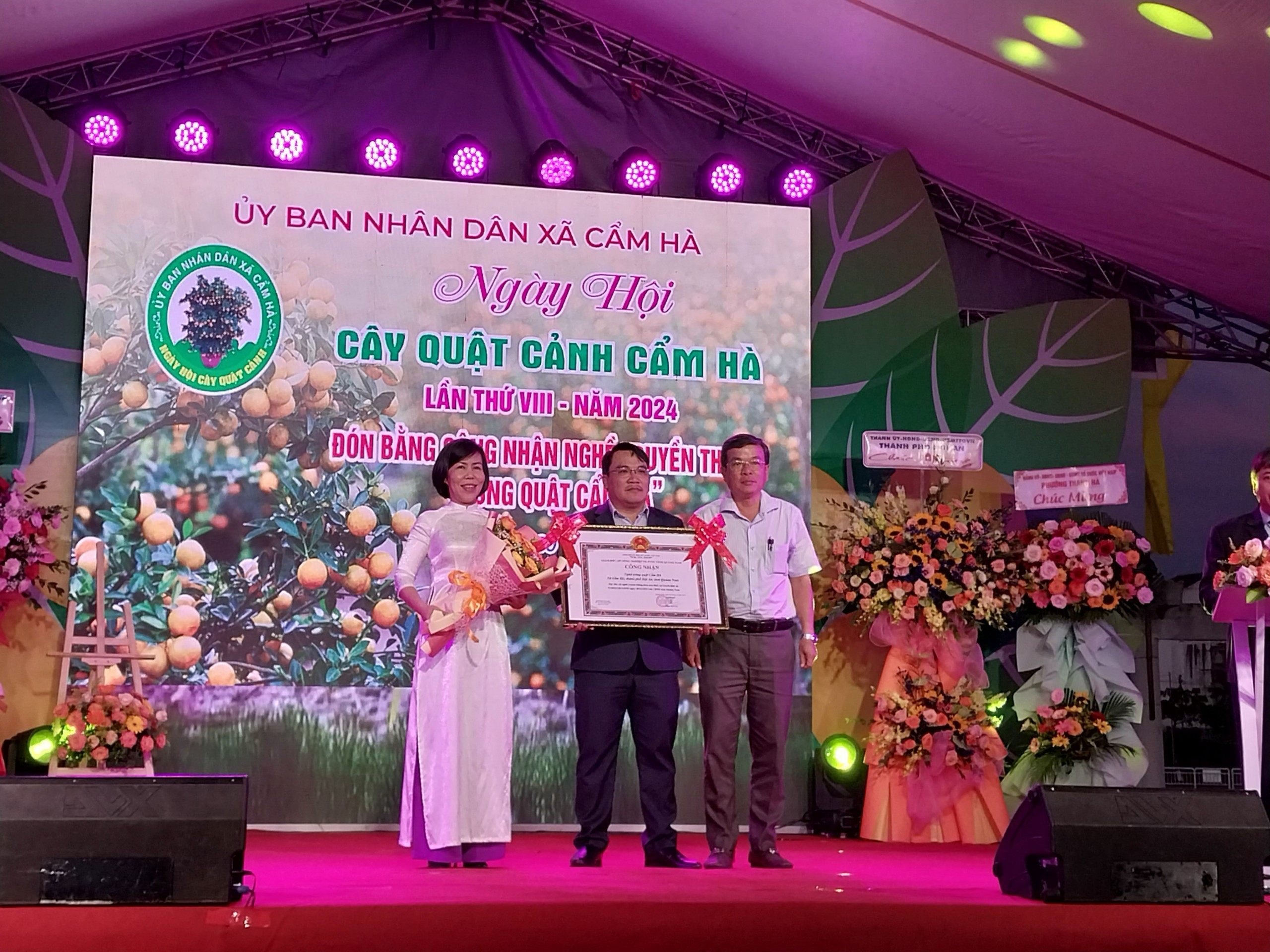 Ngày hội Cây Quật cảnh Cẩm Hà, mang sắc xuân về Hội An
