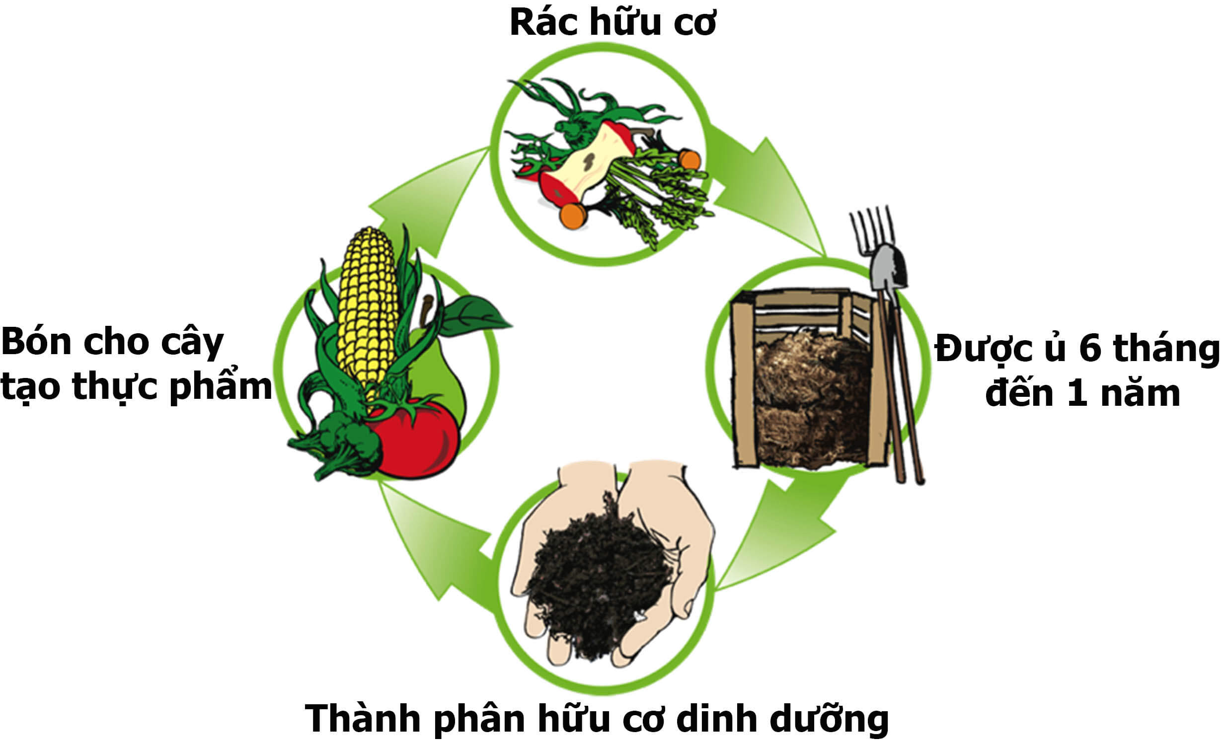 Hành Động Vì Một Quảng Nam Xanh: Nói Không Với Rác Thải Nhựa